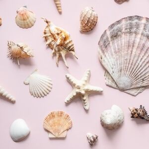 Meet your Posher, Mia